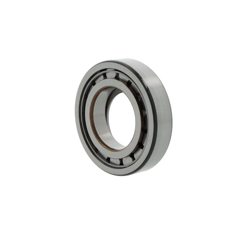 Zylinderrollenlager BC1-0313