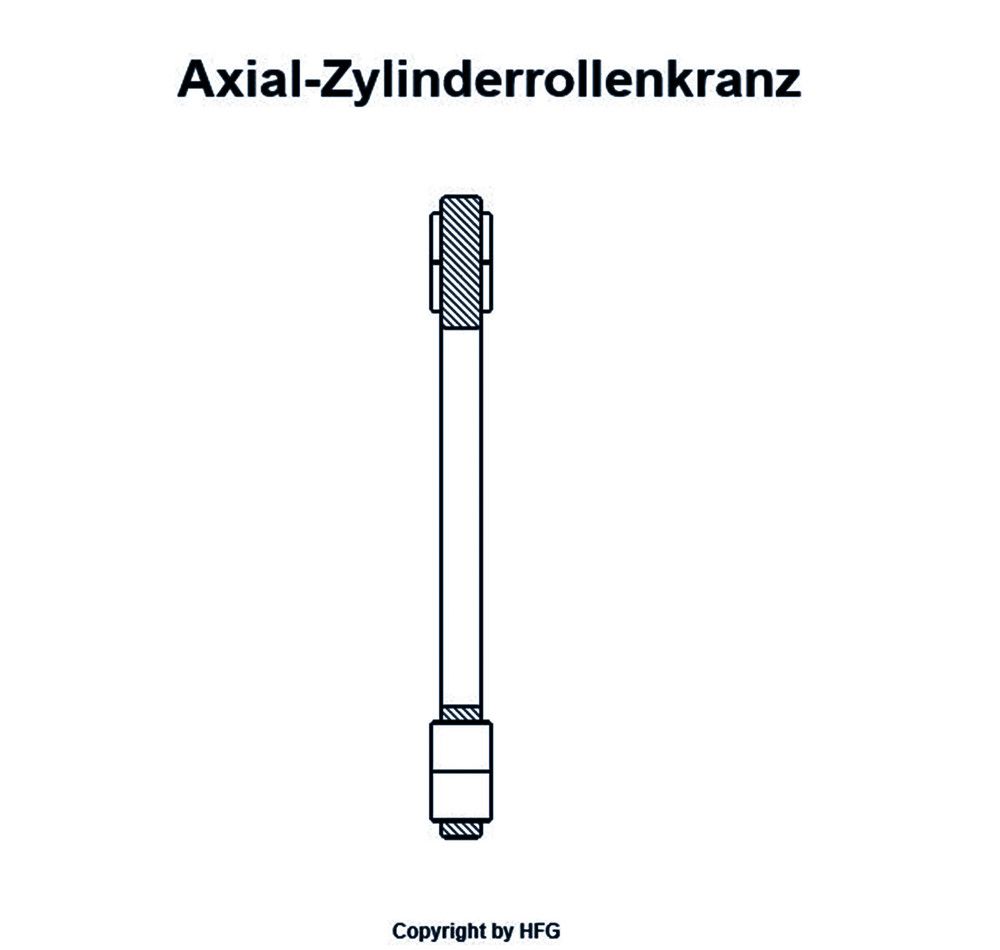 INA Axial-Zylinderrollenkranz K89307 -TV