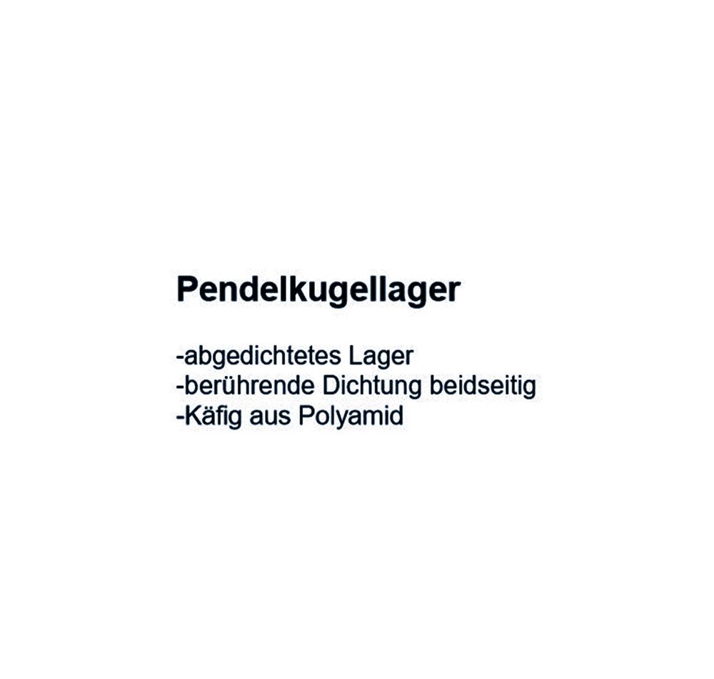 SKF Pendelkugellager 2302  E-2RS1TN9