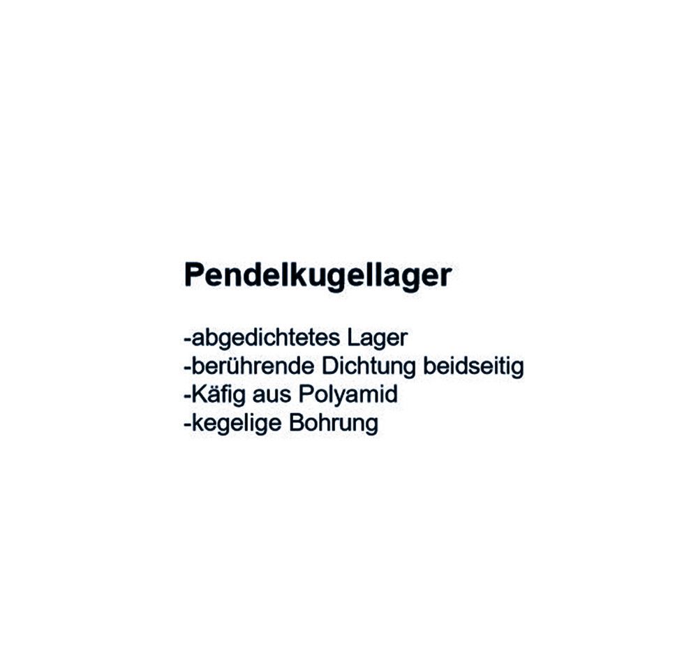 SKF Pendelkugellager 2210  E-2RS1KTN9/C3