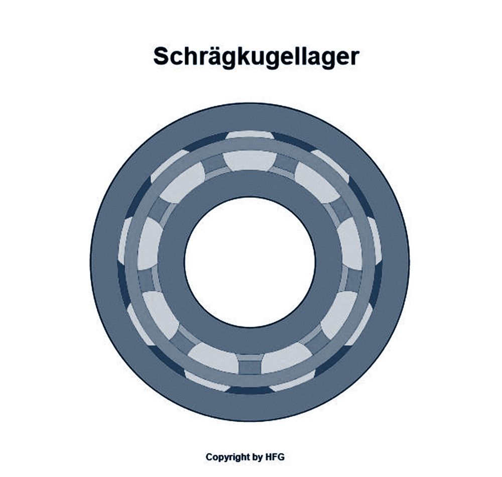 FAG Schrägkugellager 3219 -M