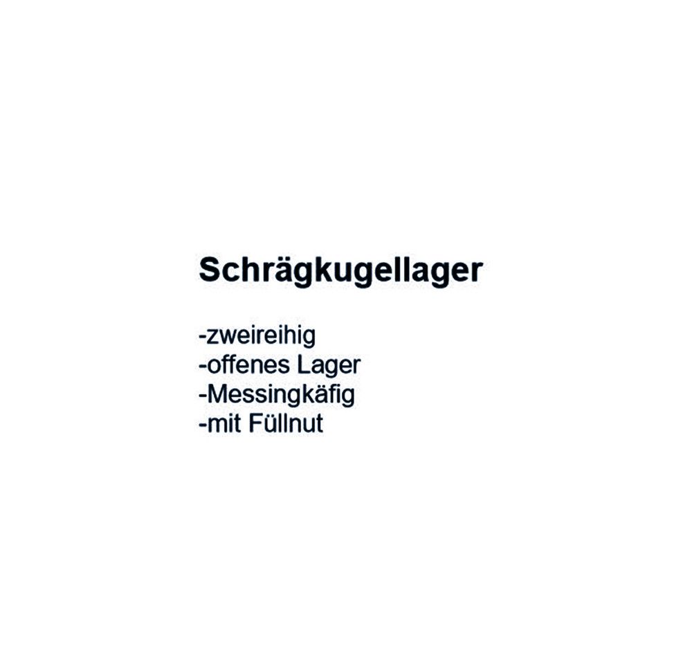 FAG Schrägkugellager 3219 -M