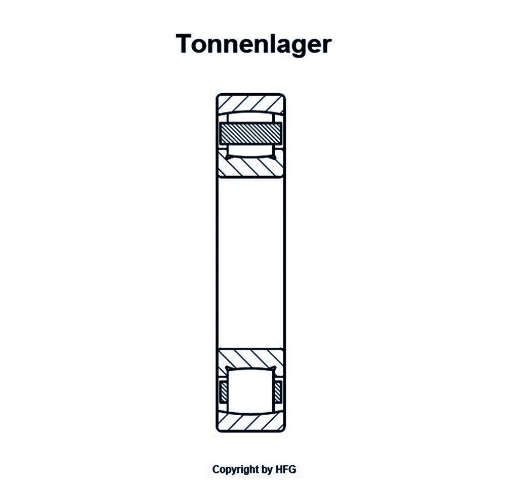 FAG Tonnenlager 20206 -TVP-C3