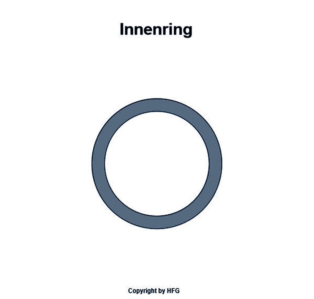 INA - Innenringe IR6-10-10 -IS1