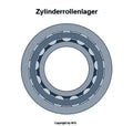 SKF cylindrical roller bearing NJ309 ECJ/C3