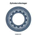 FAG cylindrical roller bearing NJ2305 -E-M1A-C3