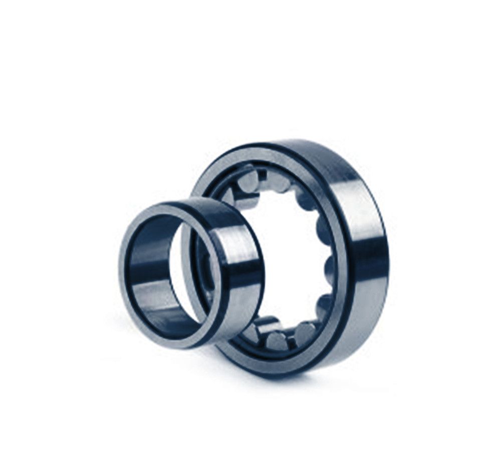 SKF Zylinderrollenlager NU2219  ECJ