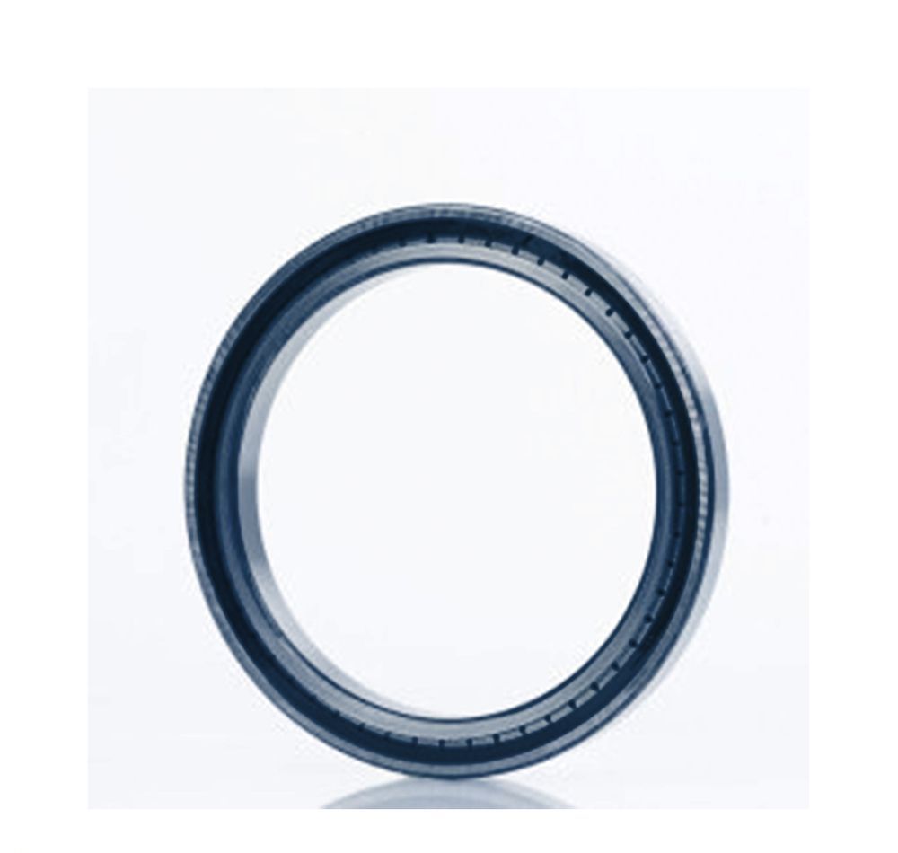 INA cylindrical roller bearing SL183010